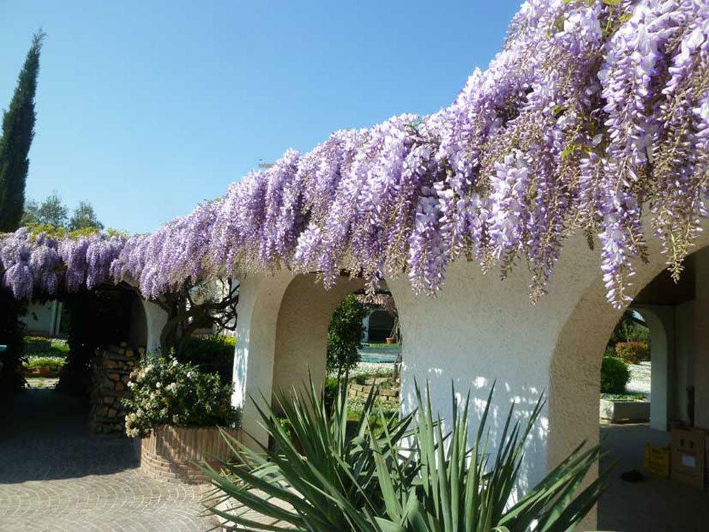 Villa Dolcevita San Costanzo Buitenkant foto
